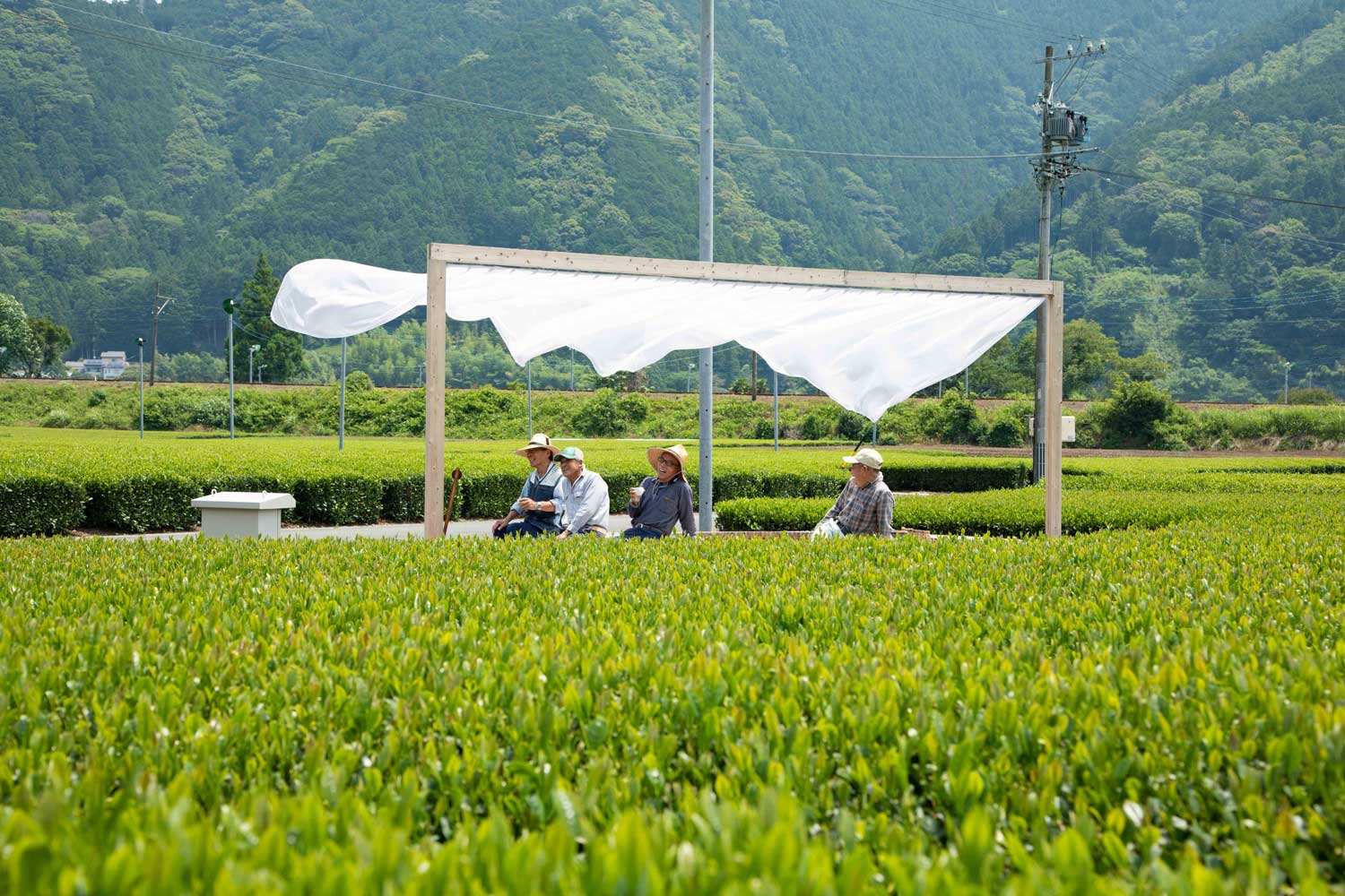 ヒューマンスペース演習Ⅰ〜Ⅲ