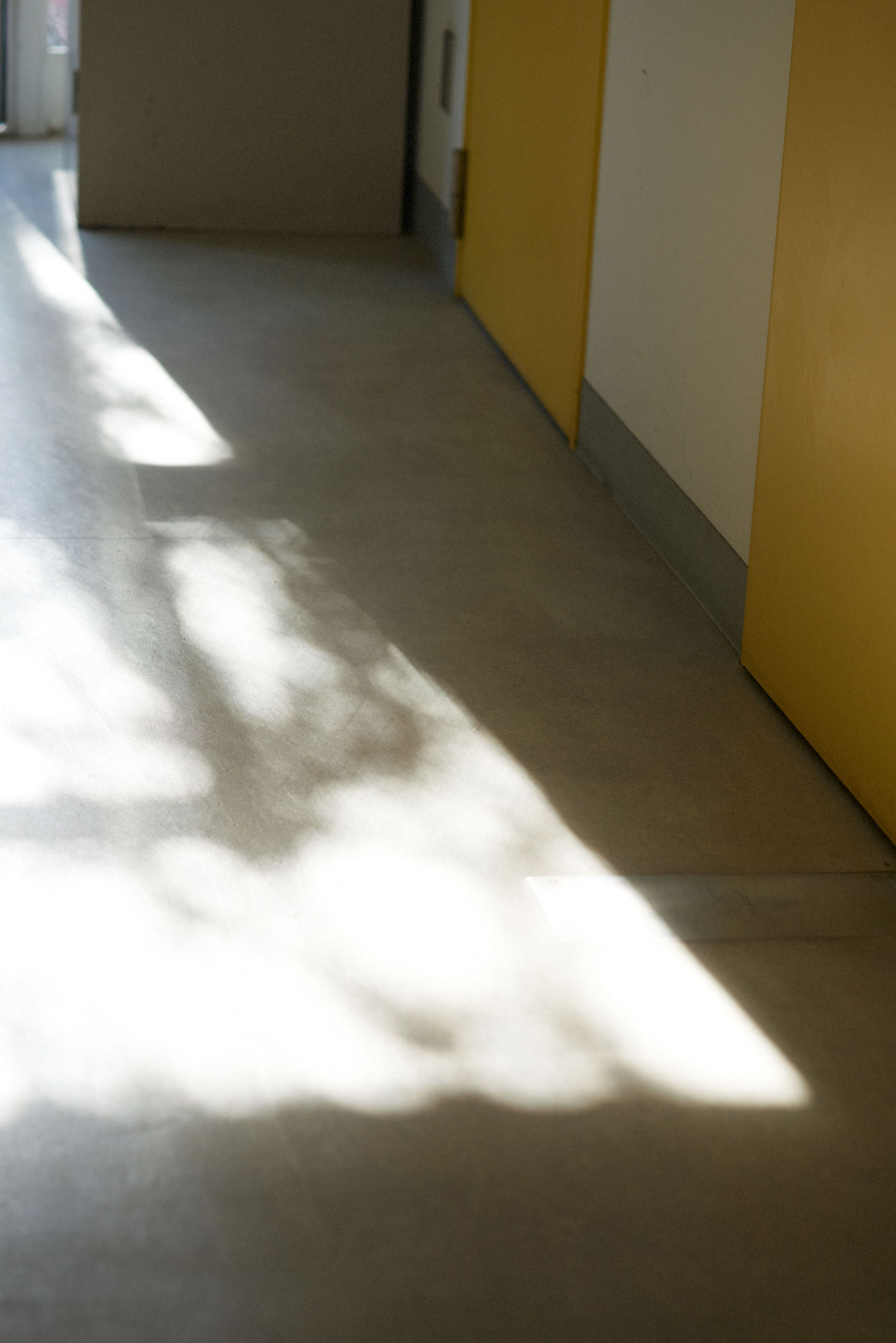 都心に近い杉並キャンパスで空間の新たな可能性を追求する。