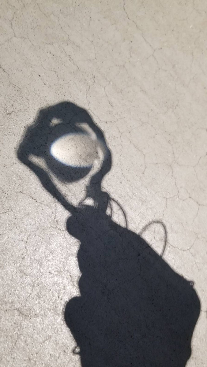 YOKOYAMA Minoru, FIIDA